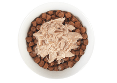 Tiki Cat Born Carnivore Tuna in Broth