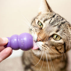 KONG - Kitty Rubber Treat Dispensing Toy