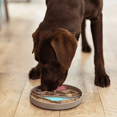 Messy Mutts - Mountain Scene 8" Silicone Therapeutic Lick Bowl-Interactive Feeder