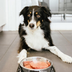 Faim Museau - Simply Turkey Frozen Raw Dog Food