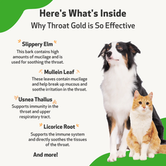 Pet Wellbeing - Throat Gold for Cats