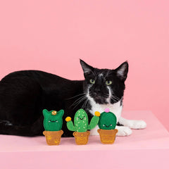 Fringe Studio - Cat-Us Friends 3pc Felt Cat Toy Set