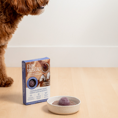 Faim Museau - Frozen Blueberry Yogurt