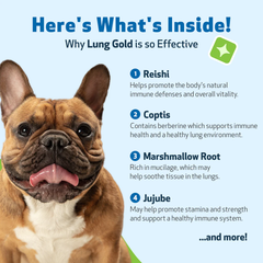 Pet Wellbeing - Lung Gold