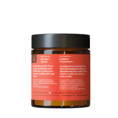 North Hound Life Dog Organic Chaga Mushroom & Blueberry 40g