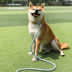 Pet Adjustable Slip Lead Heavy Duty Durable Loop Leash