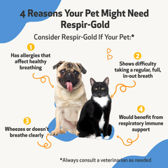 Pet Wellbeing - Respir-Gold