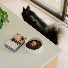 Faim Museau - Frozen Blueberry Yogurt