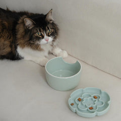 Dexypaws - Elevated Slow Feeder Flower Sage Green