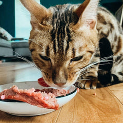 Faim Museau - Duck & Beef Frozen Raw Cat Food