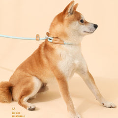 Pet Adjustable Slip Lead Heavy Duty Durable Loop Leash