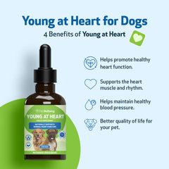 Pet Wellbeing - Young at Heart for Dogs