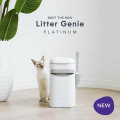 LITTER GENIE Stainless Steel Cat Litter Platinum Pail