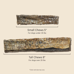 The Honest Kitchen Dog Ocean Chews Crispy Cod Fish Skins Beams