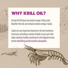 Grizzly Krill Oil Liquid Supplement 8oz