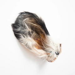 Grand Valley Quail - Beef Ears with Fur