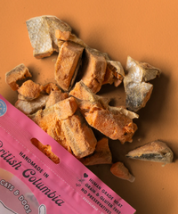 WILD VIBES Salmon and Bone Broth 75g