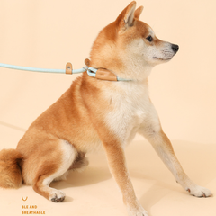 Pet Adjustable Slip Lead Heavy Duty Durable Loop Leash