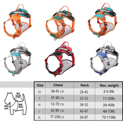 Dog Padded Vest Harness