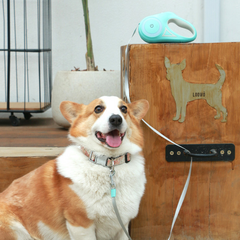 Pet Leash with Touch Control Led Light 5m