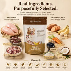 Ancestral - Chick Harmony Dog Treat