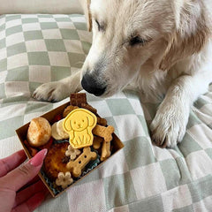 Pawty Bakery - Barkie-Cookies