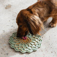 Dexypaws - Enrichment Lick Mat Blooming Blossom Sage Green