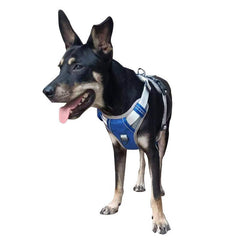 Dog Padded Vest Harness
