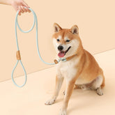 Pet Adjustable Slip Lead Heavy Duty Durable Loop Leash