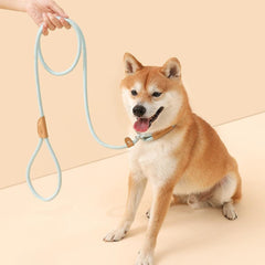 Pet Adjustable Slip Lead Heavy Duty Durable Loop Leash