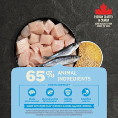 ACANA - Dog Healthy Grains Puppy