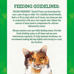 Greenies - Dental Treat Savory Salmon Flavour