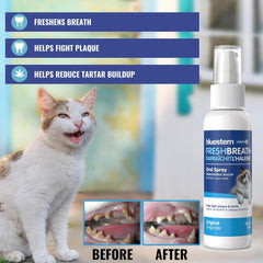 Bluestem Cat Oral Spray with Coactiv+ 60ml