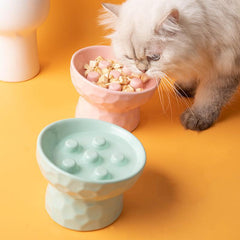 Pet Ceramic Bowl Elevated Raised and Tilted Slow Feeder
