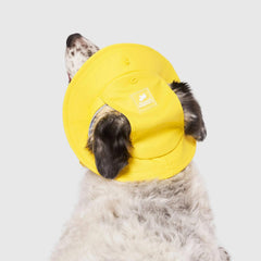 Canada Pooch Torrential Tracker Rain Hat
