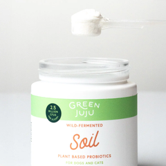 Green Juju - Soil - Wild-Fermented, Plant-Based Probiotic