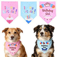 Pet Birthday Bandana