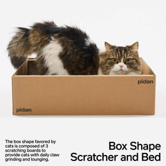 pidan Cat Scratcher Board – Box Style