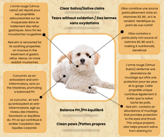 Ollos - Powder Ollos Eye Care Supplement