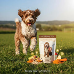 Ancestral - Mobility & Vitality Chews Pouch
