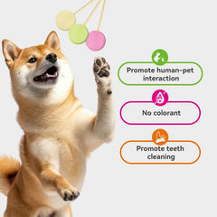 RANOVA - Freeze-Dried Lollipops for Dogs (Mixed Flavor)