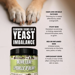 BLENDS For Life Olive Leaf+