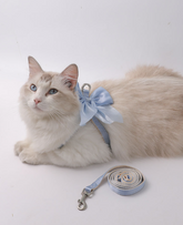 Pet Harness Bow with Leash