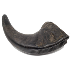 Open Range Water Buffalo Horn Small