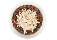 Tiki Cat Born Carnivore Chicken in Broth