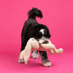 Fringe Studio - Hoppy To See You Large Plush Dog Toy