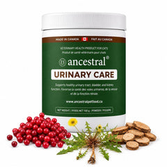 Ancestral - Cat Urinary Care Powder