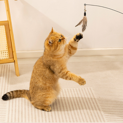Cat Feather Teaser Replaceable Feather