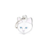 MyFamily - European Shorthair