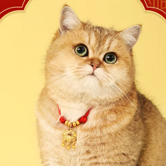 Pet Amulet Red String Adjustable Necklace